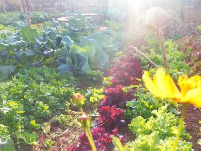 María José Breilh: "En tiempos de crisis social vemos la necesidad de fortalecer la producción agroecológica"