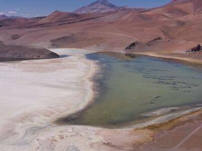 Maricunga amenazado: ambición, extractivismo y resistencias frente a la devastación del litio