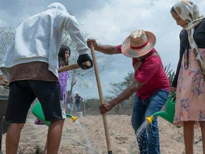 FAO/Felipe Rodriguez Miembros del pueblo indígena Wayúu de Ipanamá, Colombia, siembran semillas en el polvoriento terreno desértico.