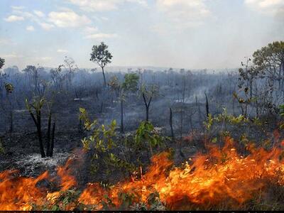 Matopiba concentra mais da metade das queimadas no Cerrado