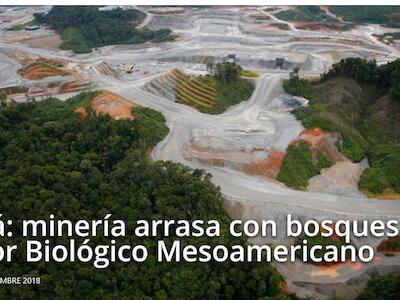 Minería arrasa con bosques del Corredor Biológico Mesoamericano
