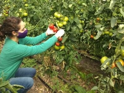 Monitoreo de agroquímicos biocidas