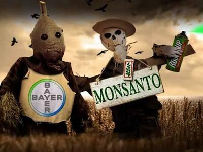 Monsanto y Bayer, la entrega política de nuestros cuerpos