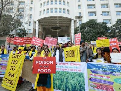 Protesta contra la mostaza transgénica frente al Ministerio de Medio Ambiente y Bosques en Nueva Delhi (mayo de 2017). Foto: Sarson Satyagraha