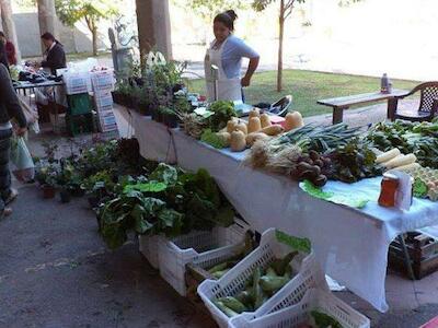 Mujeres hacia la soberanía alimentaria. La experiencia de la granja agroecológica La Verdecita