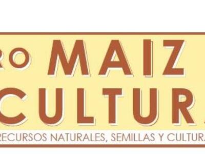 Nuestro maíz, nuestra cultura - Boletín #19