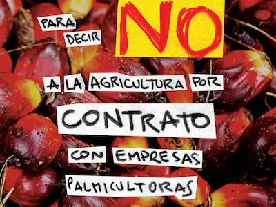 Nueve razones para decir NO a la agricultura por contrato con empresas palmicultoras