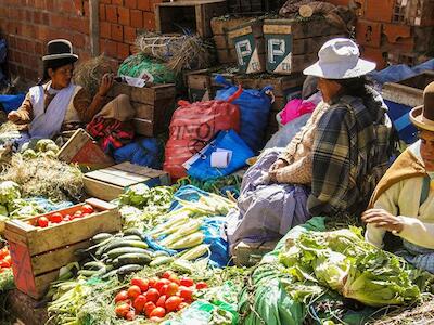 Nuevo ataque a la soberanía alimentaria, al medio ambiente y la salud pública