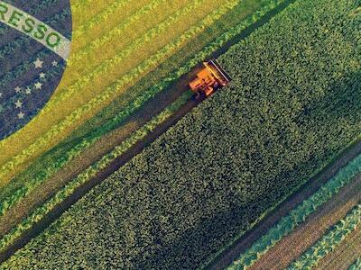  Nuevos OGM y agrotóxicos en Brasil: Boletín 816 de la RALLT