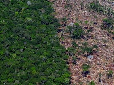 O atual colapso da biodiversidade, da qualidade dos laços sociais e dos nossos regimes políticos é o efeito direto da remercantilização