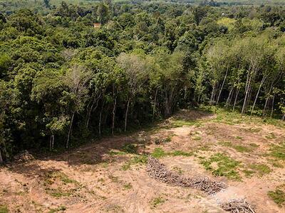 “O Black Friday de terras públicas na Amazônia acabou?”. Entrevista especial com Paulo Moutinho