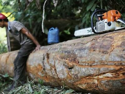 O desmatamento da Amazônia. E o papel do Inpe para barrá-lo 