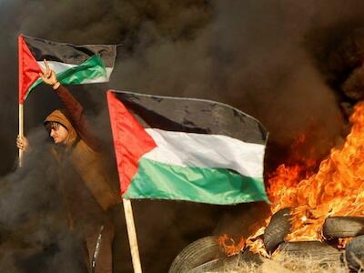 Organizaciones se pronuncian con respecto al ataque militar contra el banco de semillas en Palestina