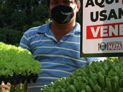 Organizações lançam manifesto pela agroecologia e contra os agrotóxicos no Estado de São Paulo