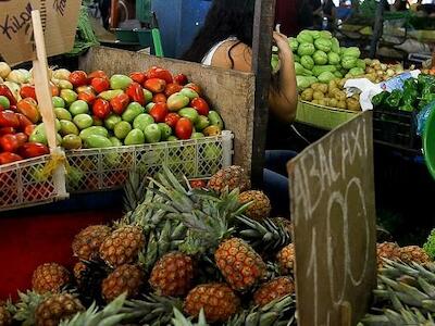 “Os alimentos são importantes demais para serem deixados nas mãos de milionários”. Entrevista com Vandana Shiva