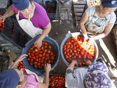 Otra forma de producir frente a la pandemia