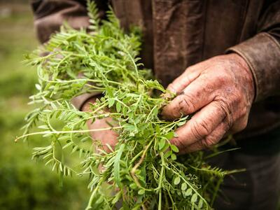 Otro modelo es posible: «Agroecología. El futuro llegó»