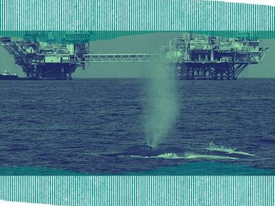 Petroleras en el mar: la transición energética como bandera del extractivismo