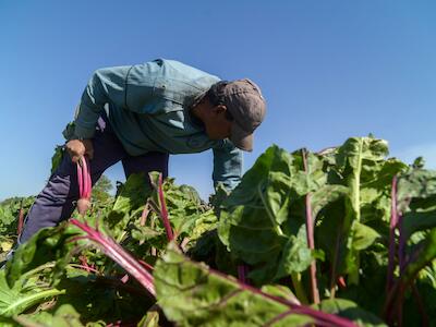 Por la Soberanía y cuidado del ambiente y la salud