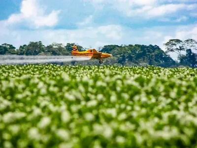 ¿Por qué debemos luchar contra el agronegocio?