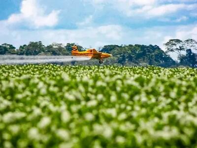 Por que devemos combater o Agronegócio?