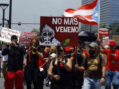 ¿Por qué está Monsanto en Puerto Rico? Boletín 814 de la RALLT