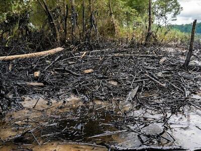 Por qué nos movilizamos #4 | Los pueblos amazónicos afectados y amenazados por la explotación petrolera también se movilizan