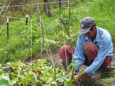 Por qué un nuevo Derecho Agroecológico 