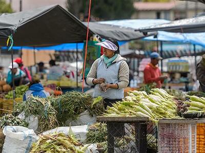 Problemática alimentaria y crisis sanitaria en Ecuador