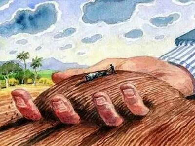 Propietarios y arrendatarios: los dueños del agro
