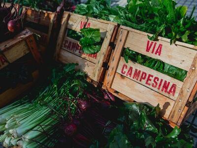 ¿Qué es la soberanía alimentaria?