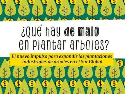 ¿Qué hay de malo en plantar árboles?