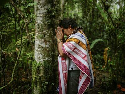 Raíces de resistencia: la violencia contra quienes defienden la tierra y el ambiente