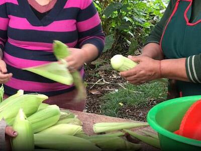 Recetario agroecológico