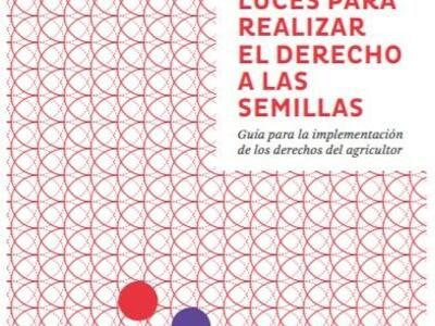 Recuperar el ciclo de la sabiduría: luces para realizar el derecho a las semillas