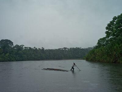 - Foto por Tomas Munita/CIFOR.