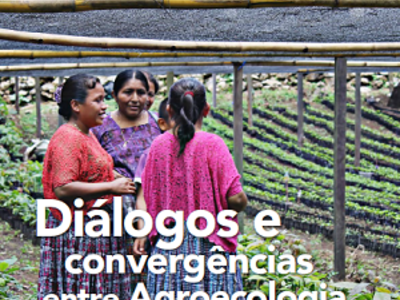 Revista Agriculturas: diálogos e convergências entre agroecologia e feminismo