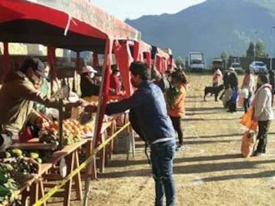 Revista LEISA Volumen 36 N°3: agricultura familiar campesina y cadenas cortas de valor