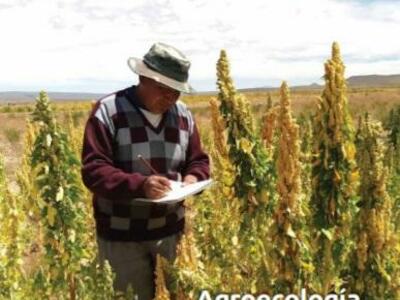 Revista LEISA volumen 37, número 1: agroecología e investigación participativa