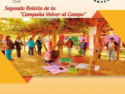 Segundo boletín de la "campaña volver al campo"