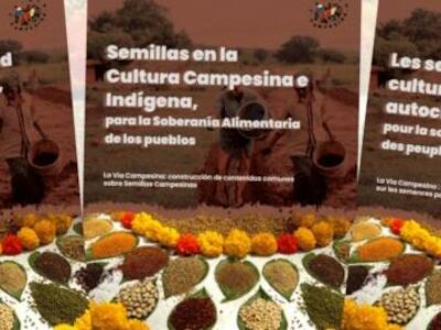 Semillas en la cultura campesina e indígena (Módulo de formación)
