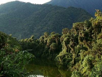 Serie: lo que le espera a la Naturaleza en la presidencia de Guillermo Lasso