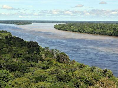 Si el Amazonas cruza el punto de no retorno podría desaparecer en apenas décadas
