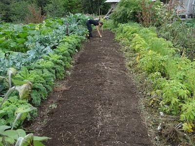 Sobre los orígenes de la agroecología en el pensamiento marxista y libertario