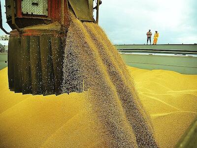 Cargill, Bunge e ADM informaram que a soja brasileira é quase totalmente rastreável, mas nenhuma revelou sua lista de fornecedores - IvanBueno/ AG. Paraná