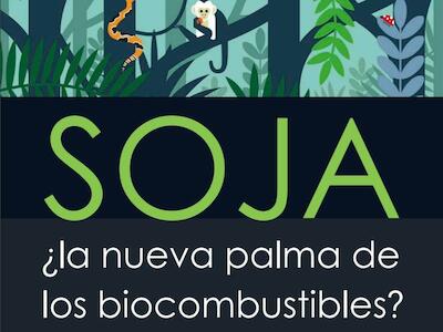 Soja ¿la nueva palma de los biocombustibles?