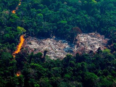 Stedile, Amazonia y UNAM