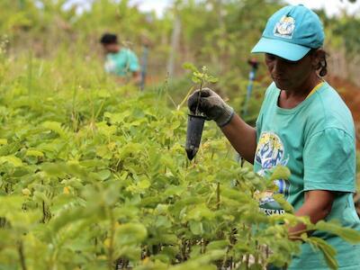 Stedile: Como enfrentar de fato a crise ambiental?