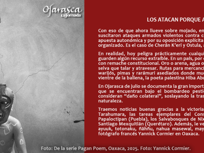 Suplemento Ojarasca #339