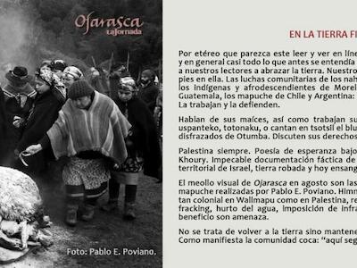Suplemento Ojarasca #340